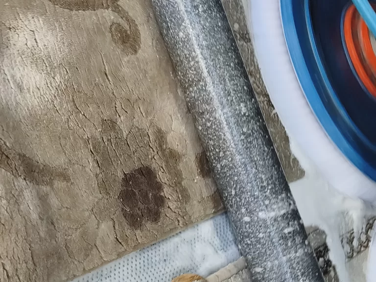 Ümitköy Elif Halı Yıkama ile Evlerinizde Derinlemesine Hijyen ve Işıltı